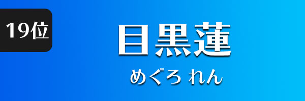 目黒蓮