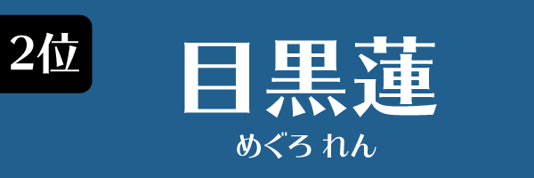 2位 目黒蓮(Snow Man)